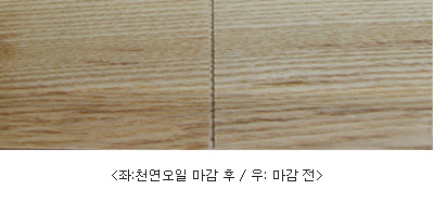 白물푸레나무(Ash, white)